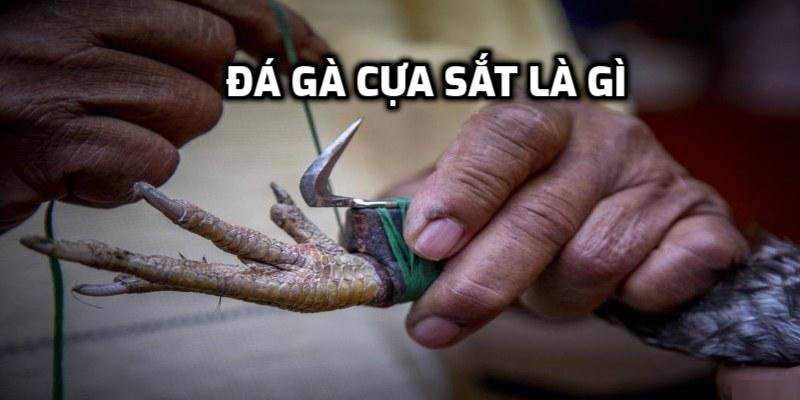 Đá Gà Cựa Sắt VSBET – Trải Nghiệm Cược Đỉnh Cao Nhất