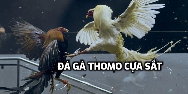 Bỏ túi các mẹo tránh bẫy khi chơi hiệu quả