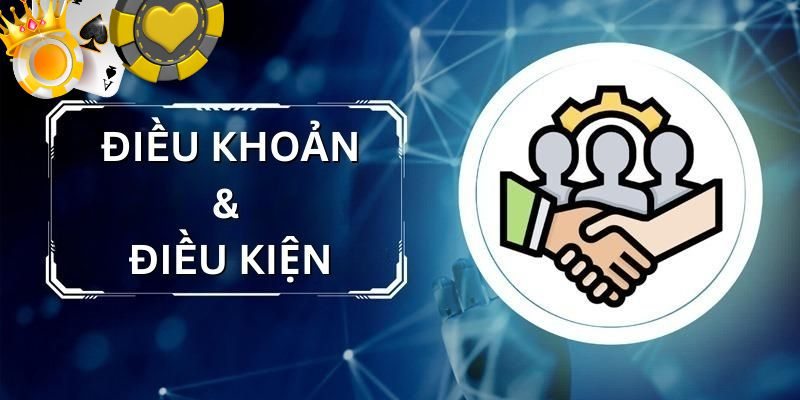 Giới thiệu chi tiết điều khoản sử dụng VSBET